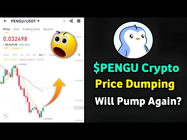 Dumping de pièces cryptographiques PENGU | Prix ​​​​de la cryptographie PENGU | Pièce PINGOU | Crypto-monnaie PINGOU | PENGU Trading | PINGOU