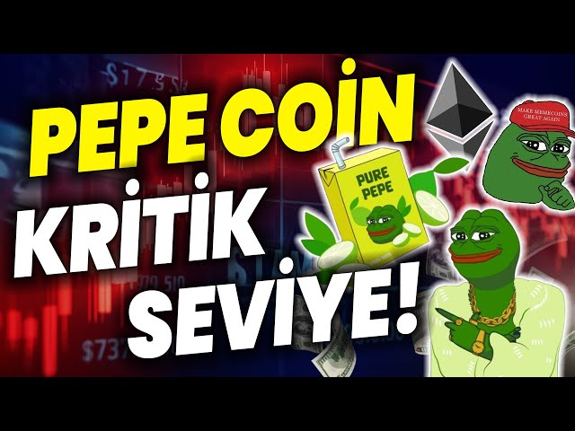 페페코인 임계레벨! PEPU의 새로운 라이벌! $PEJU 코인!? Pepe Coin 이더리움 비트코인 ​​분석