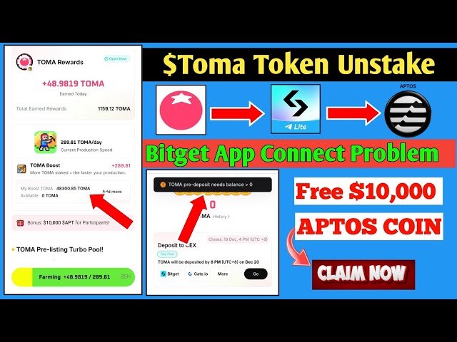 Tomarket 지갑 연결 문제 | Tomarket $Toma 토큰 언스테이크 | 무료 $10000 APT 토큰