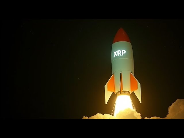 XRP 상승세! - 2024년 12월 17일