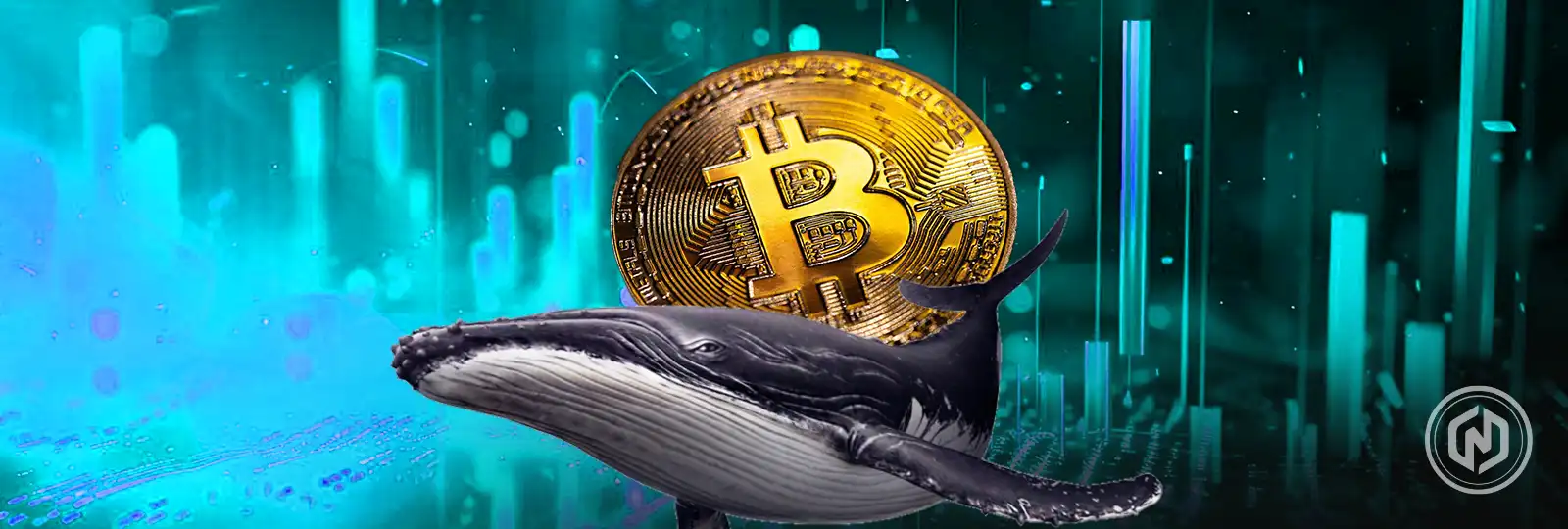 Bitcoin Whales Buy the Dip, Signaling Potential $120k Breakout Rally