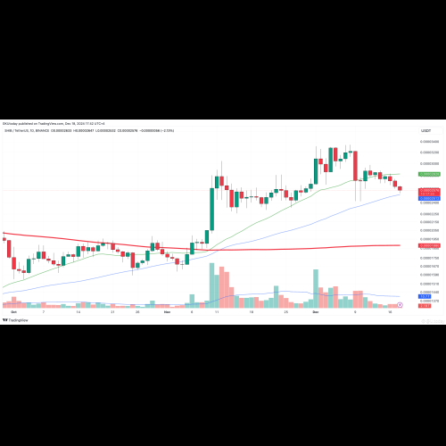 Le tableau des prix du Shiba Inu (SHIB) fait allusion à des opportunités intéressantes alors que le jeton trouve un support à 0,000025 $