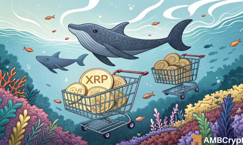 Can XRP Hit $100, $300, or Even $500? Whale Activity and Metrics Hint at a Potential Rally