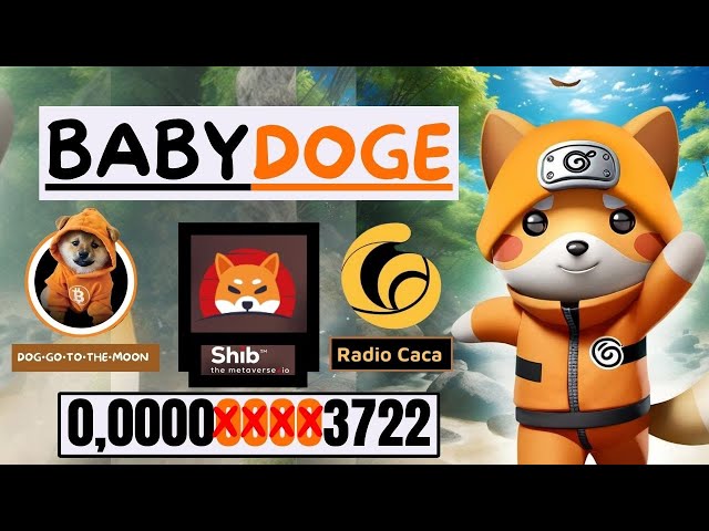 🔥BABY DOGE COIN // 柴犬 + 犬は月へ行く + RACA E SUI🔥#babydoge #doggotothemoon