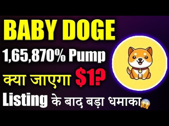 Baby Doge 1 RS ? 오늘의 아기 총독 코인 뉴스 |오늘의 암호화폐 뉴스| 암호화폐 | 암호화폐 빅불