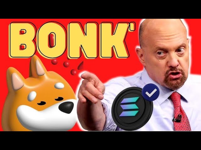 BONK 코인 100배 출시 예정 | 힌디어의 BONK 코인 업데이트 | B를 구매 또는 판매하세요.