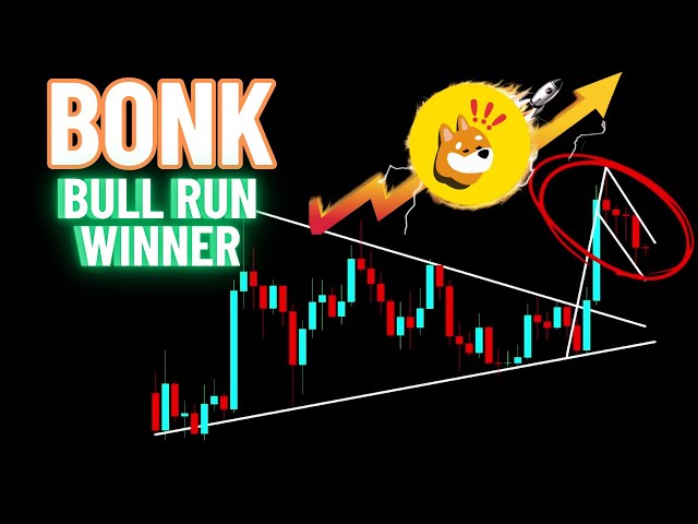 BONK 暗号コイン ブルランの優勝者!