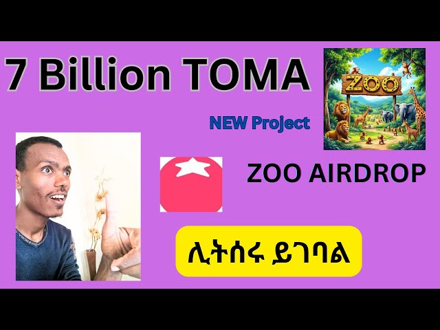 You can make cool money with Airdrop Tomarket 7 Billion tokens free | Zoo new updates #zoo #tomarket