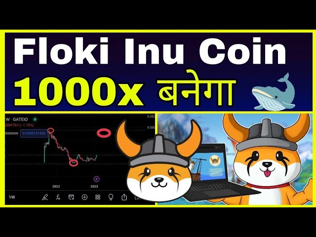 FLOKI COIN 100X SOON | FLOKI COIN BIG NEWS IN HINDI