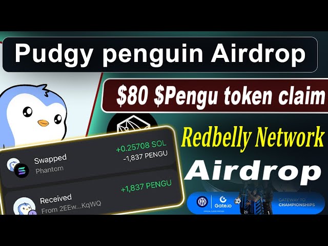 Huge Airdrop! pudgy pengu and Redbelly RBNT token Airdrop! Gateio Pudgy campaign! Hindi