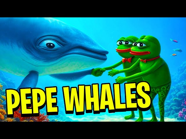 PEPE COIN WHALES가 구매하는 이유는 무엇입니까!? 오늘의 PEPE 코인 소식