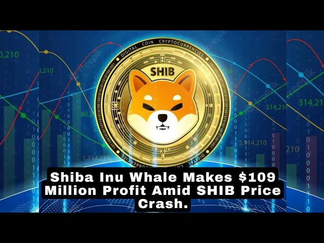 SHIB価格暴落のさなか、柴犬クジラが1億900万ドルの利益を得る。 #シブ