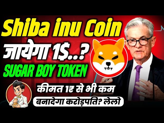 Sugar Boy Token Buy now | Shiba inu coin price prediction 2025 kya jayega 1₹..? Check out our news 🔥