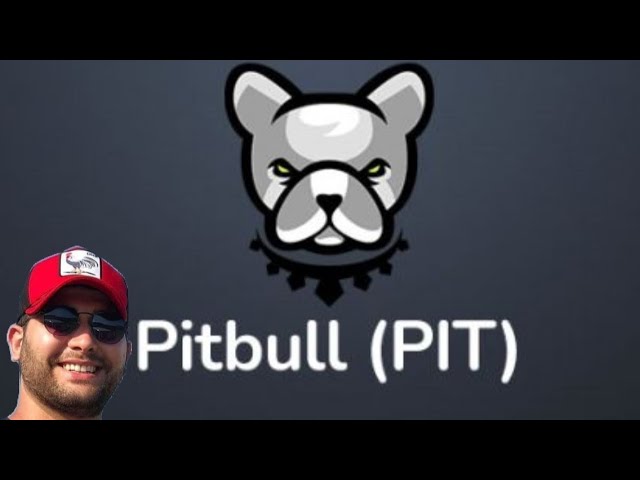 🔥PİTBULL COİN ETHEREUM SUİ CHZ #bitcoin #pitbullcoin