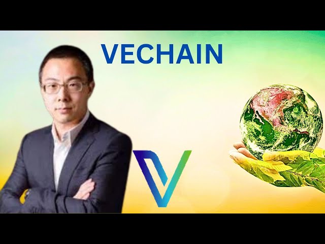 VeChain VET News: VeChain baut weiter! BullRun Over?