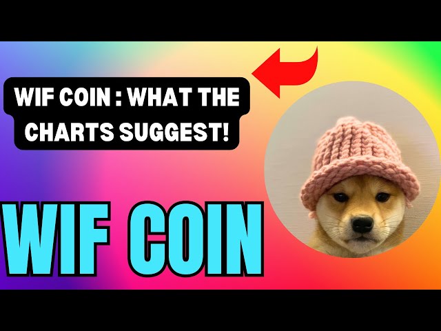 WIF COIN 技术更新：留意这些图表信号！ WIF币技术分析！