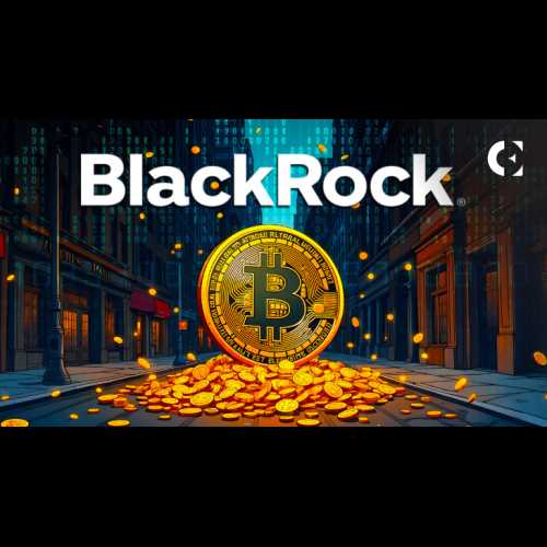 BlackRock의 비트코인 ​​ETF 면책조항, 암호화폐 커뮤니티의 눈길을 끌다