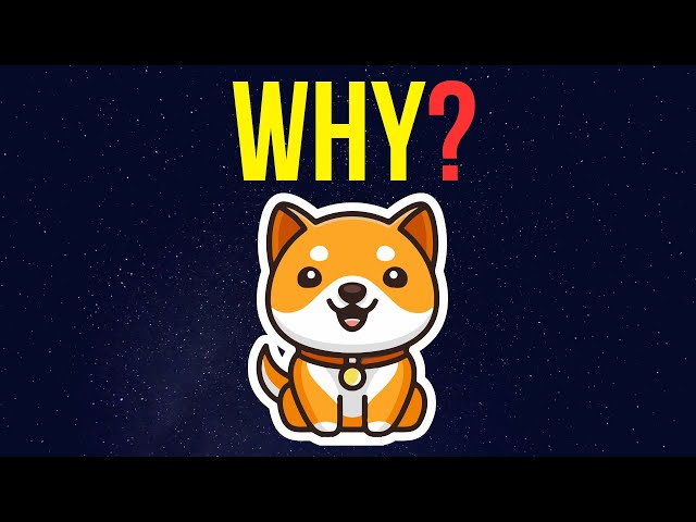 Baby Doge Coin : voici pourquoi mon objectif de capitalisation boursière est de 15 milliards de dollars ! | Prévision de cours Baby Doge Coin