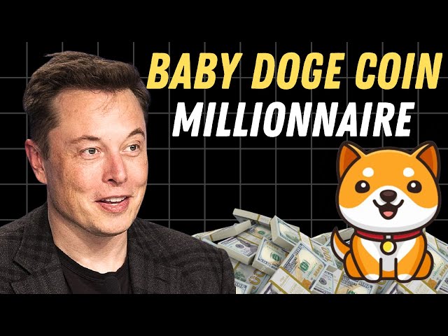 🔴Baby doge coin feras des  millionnaires au  bull run crypto 2024 ?