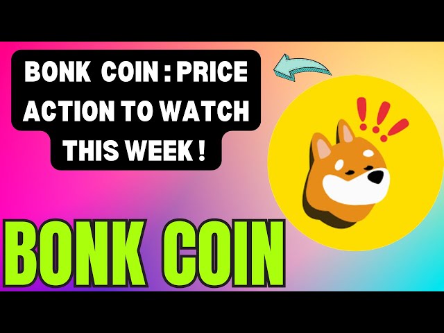 BONK COIN 가격 액션: 새로운 차트 발견! BONK 코인 가격 예측: 트렌드 차트 패턴!