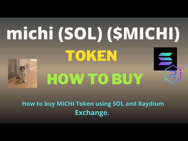 Comment acheter un jeton michi (SOL) ($ MICHI) à l'aide de Raydium Exchange