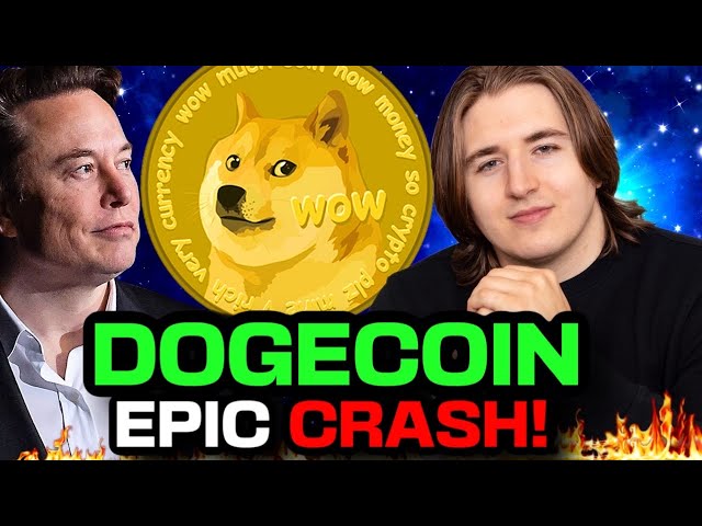 DOGECOIN CRASHING! (DOGE Price WARNING?!?) How Low Can Elon's DOGE Go?