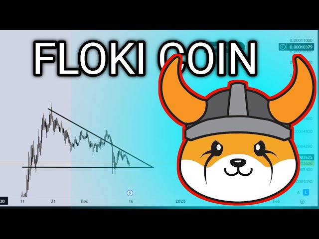 PRÉDICTION DE Prix FLOKI | Analyse technique Floki Coin | Floki dernières nouvelles 18 décembre