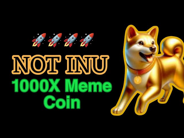 NOT INU 코인 뉴스 투데이 | Not Inu 코인 상장 | 불런 | 톤코인 업데이트