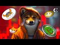 MEME 코인 충돌이 시작되었나요?🚨DOGE, PEPE, FLOKİ SHIBA 및 MEMES; 다시 베어 시즌에 돌입하는 건가요!?🚨