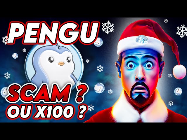 PENGU : Scam ou Opportunité ? Analyse Complète du Token Pudgy Penguins | Airdrop, Prédiction & Prix