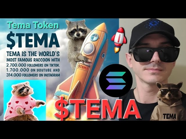 $TEMA - TEMA TOKEN CRYPTO COIN HOW TO BUY MEMECOIN RACCOON SOLANA SOL RAYDIUM JUPITER TIKTOK MEME