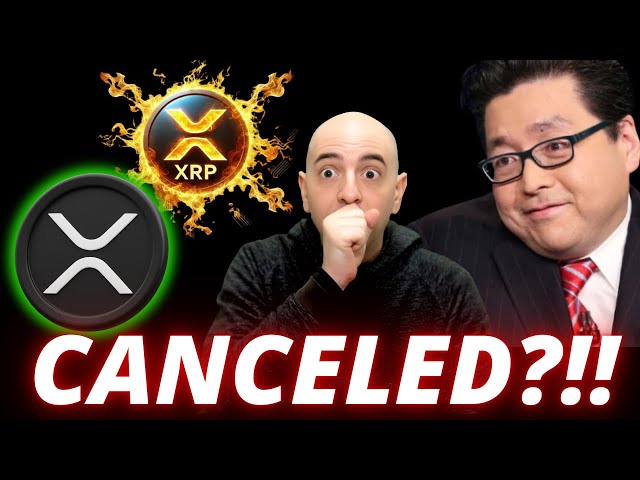 XRP ジャストイン!トム・リーはみんなを驚かせました！ SECが閉鎖?!今日のXRPニュース！ブルランはキャンセルされましたか？