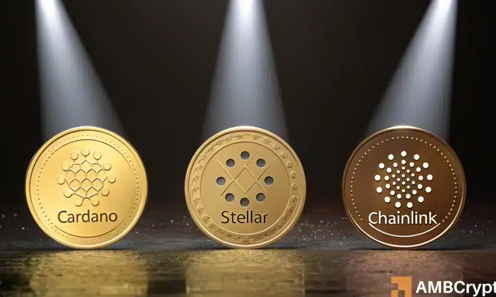 Cardano, Stellar ou Chainlink – Quel plongeon devriez-vous creuser ?