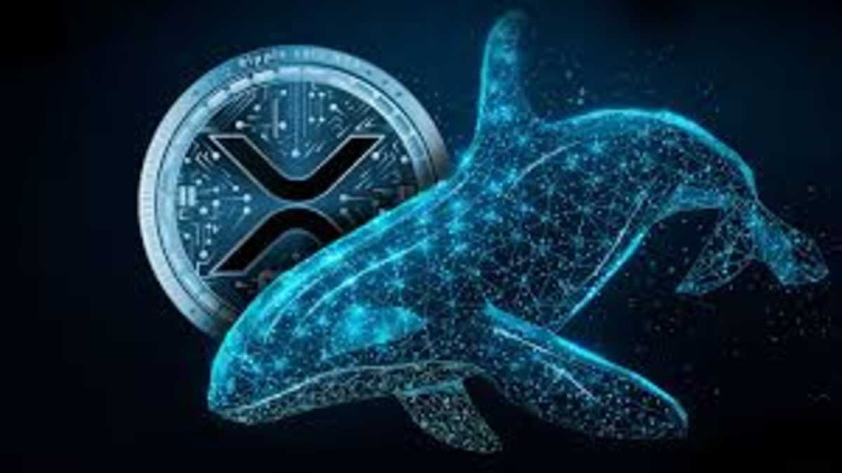 Ripple (XRP) Primed for a Price Rally as Whales Accumulate and Legal Victories Mount