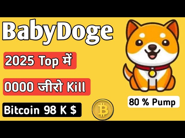 BabyDoge Coin 到 2025 年底可以产生巨大的泵！！燃烧 1 个四万亿代币！ 0000 很快杀掉