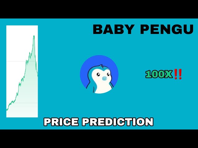 BABYPENGU 登月代幣‼