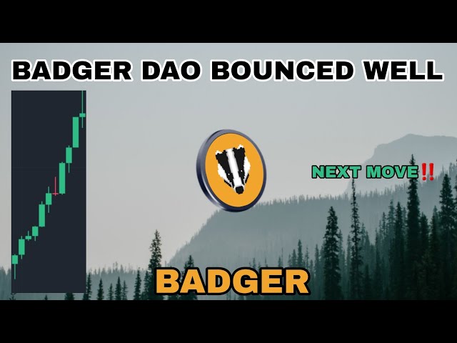 Der Badger-Coin hat sich im Dezember 2024 gut erholt‼️ Der nächste Schritt von Badger DAO Krypto geht weiter‼️ Achten Sie darauf, ob der Preis steigt