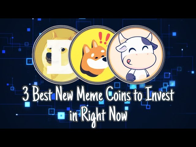 現在最值得投資的 3 種新 Meme 硬幣 #doge #bonk #BTFD