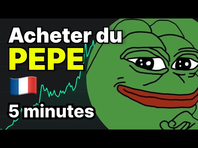 Tutorial Pepe (PEPE) kaufen? Meme Coin Ethereum 2025