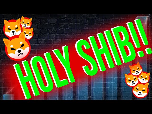 VOUS NE CROIREZ PAS CETTE PRÉDICTION DU PRIX DE LA PIÈCE SHIBA INU ! (2,00 $ PENDANT LA NUIT !) - NOUVELLES DES PIÈCES SHIBA INU