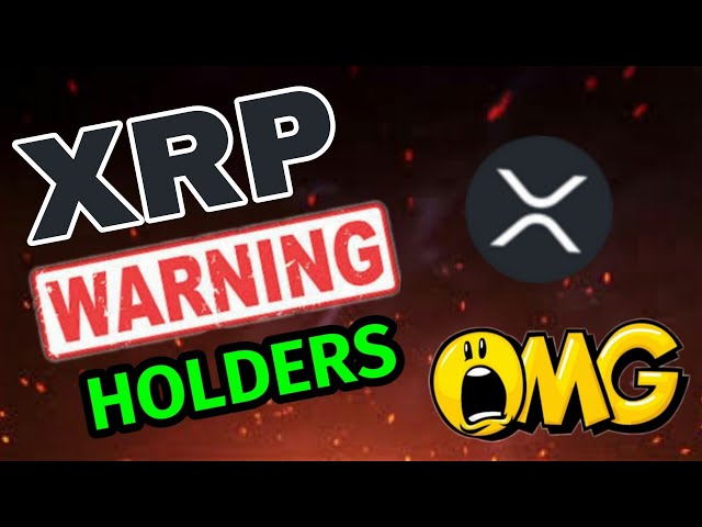 今日のXRPニュース！今日のXRP価格予測