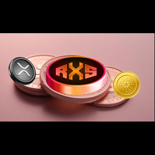 Rexas Finance(RXS): ADA 및 XRP의 2017년 성장을 복제할 가능성이 있는 유망한 알트코인