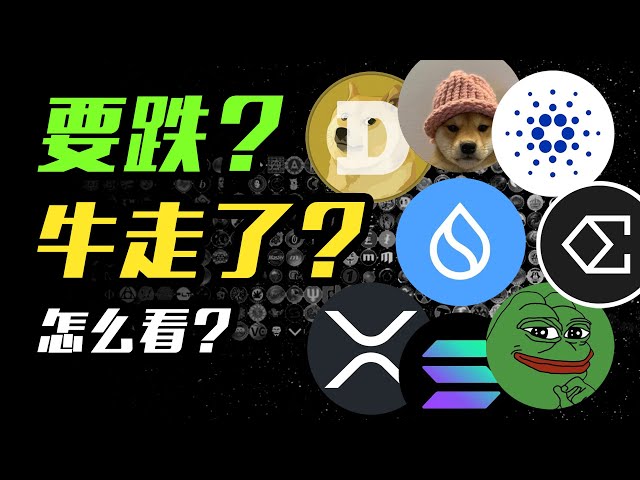 What do you think about BTC? Do altcoins still have a chance? SUI | WIF | ADA | ENA | XRP | DOGE | SOL | LINK | PEPE | SHIB | Cryptocurrency