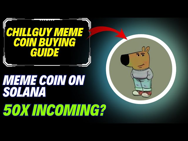 如何在 Solana 上购买 Chillguy Meme 币 |分步指南