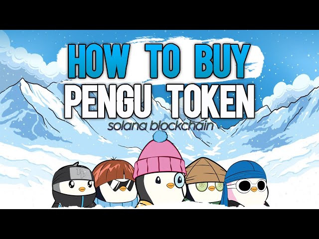 Pengu 토큰 구매 방법 | 펭구 코인 구매 방법 🐧