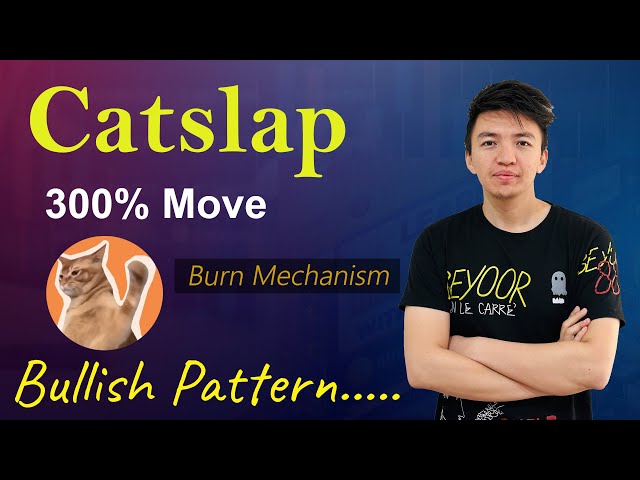 Catslap Meme Coin 300% Déplacement | Mécanisme de brûlage de prévente Catslap | Mises à jour du rachat de Catslap