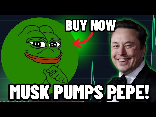 ELON MUSK POMPE LA PIÈCE DE PEPE !!! (ACHETER $PEPE MAINTENANT ?!) PEPE RENVERSERA-T-IL LE DOGECOIN ?! PRÉDICTION DU PRIX PEPE