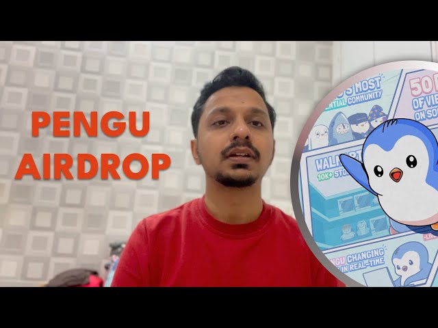 „PENGU Coin: Der nächste große Meme-Coin in der Krypto?