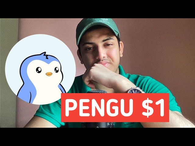 幣安上的 Pengu 代幣|很快 100 倍🚀🔥 |企鵝價格預測及今日新聞|企鵝幣預測