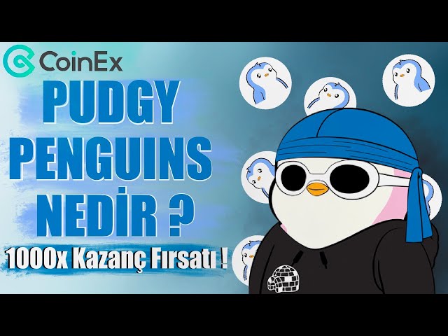 ずんぐりしたペンギンとは何ですか?|最も高価なNFT?|$PENGU Memecoinとは何ですか? #pudgypenguins #ペンギン #ビットコイン #coinex